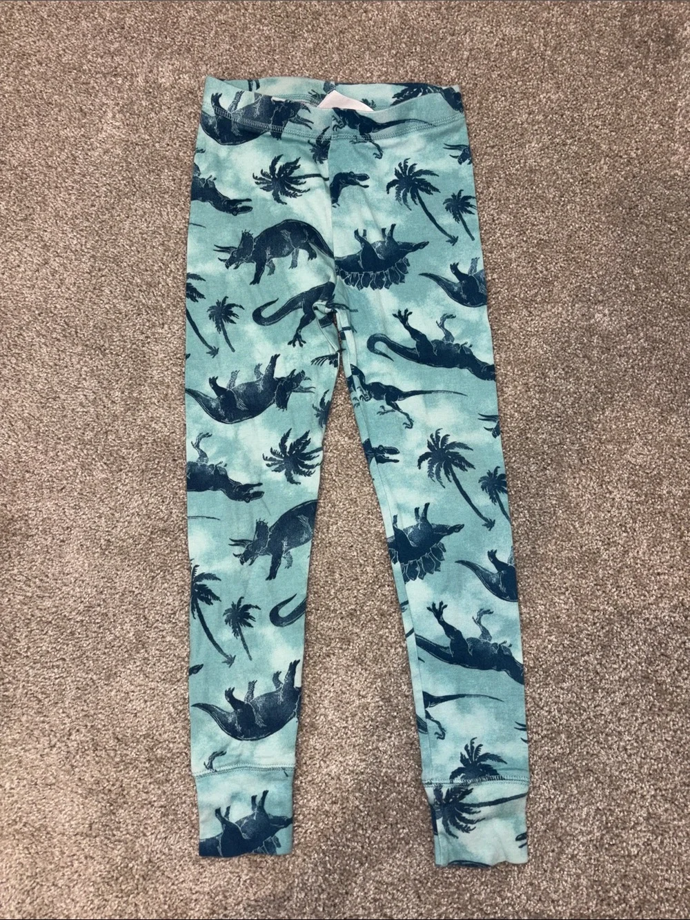 GAP Organize Teal and Navy Dinosaur Print Pajama Set